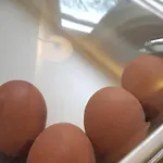 Hotel Altberesinchen