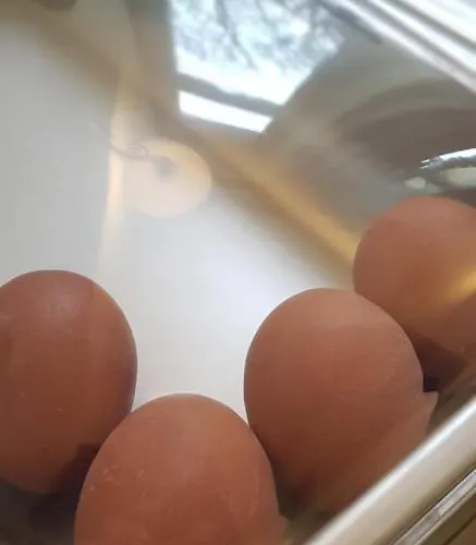 Hotell Altberesinchen